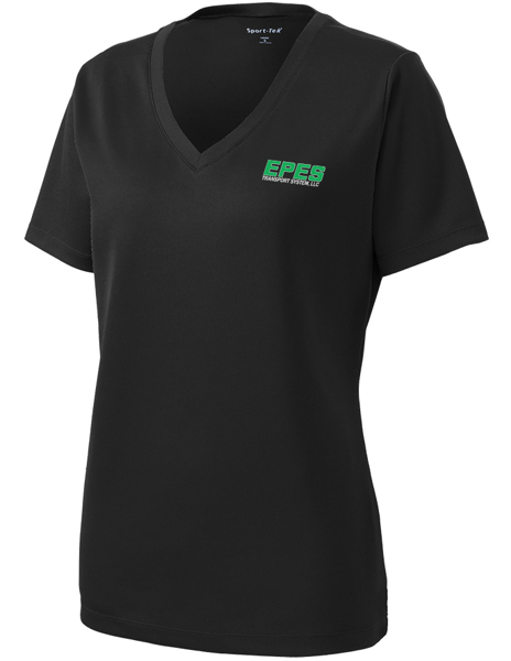 Picture of Ladies V-Neck Tee